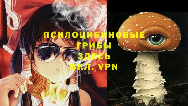 стаф Арсеньев