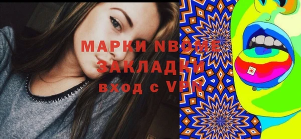 стаф Арсеньев