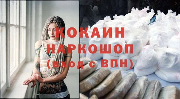 стаф Арсеньев