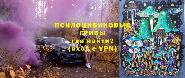 стаф Арсеньев